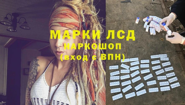 дживик Володарск