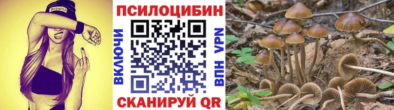 Галлюциногенные грибы Psilocybe  Таганрог 