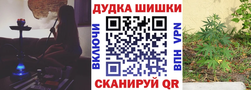 площадка формула  Таганрог  Марихуана AK-47 
